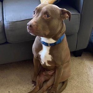 Meet your Posher, Katherine